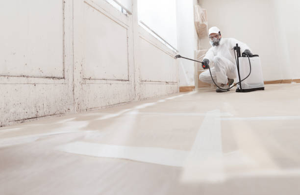 24/7 Emergency Mold Remediation experts in Fort Monmouth, NJ